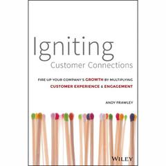 Igniting Customer Connections by Andrew Frawley audiobook
