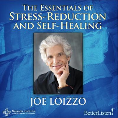 The Essentials of Stress-Reduction and Self-Healing by Joe Loizzo audiobook