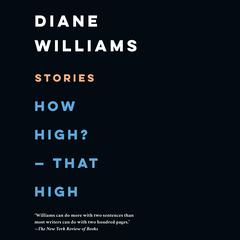 How High? - That High by Diane Williams audiobook