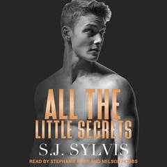 All the Little Secrets by S.J. Sylvis audiobook