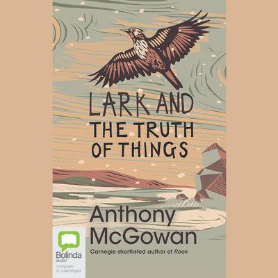 Lark and The Truth of Things by Anthony McGowan audiobook