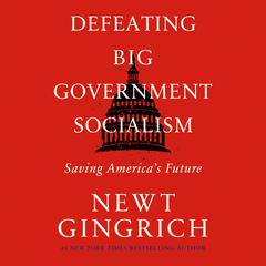 Defeating Big Government Socialism by Newt Gingrich audiobook