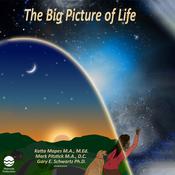 The Big Picture of Life by  Mark Pitstick MA, DC audiobook