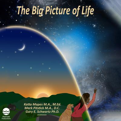 The Big Picture of Life by Katta Mapes audiobook