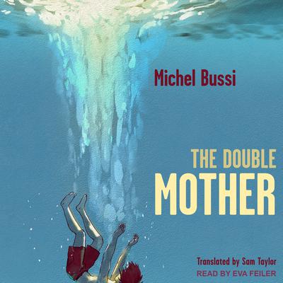 The Double Mother by Michel Bussi audiobook