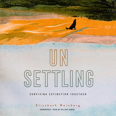 Unsettling by Elizabeth Weinberg audiobook