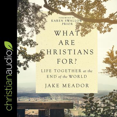 What Are Christians For? by Jake Meador audiobook