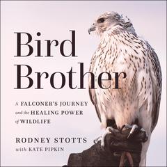 Bird Brother by Rodney Stotts audiobook
