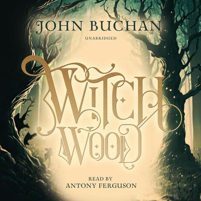 Witch Wood by John Buchan audiobook
