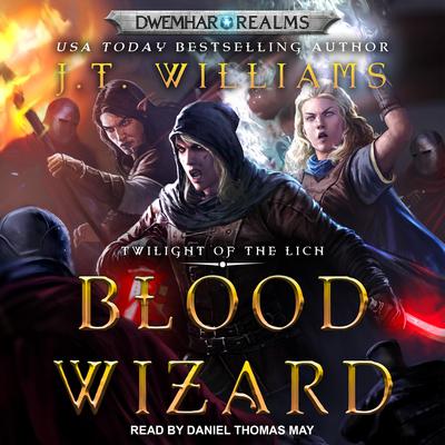 Blood Wizard by J.T. Williams audiobook