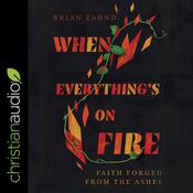 When Everything's on Fire by  Brian Zahnd audiobook