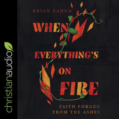 When Everything's on Fire by Brian Zahnd audiobook