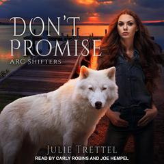 Don't Promise by Julie Trettel audiobook