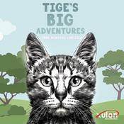 Tige's Big Adventures by  Lynne Minyard-Christer audiobook