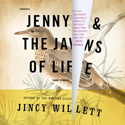 Jenny and the Jaws of Life by Jincy Willett audiobook