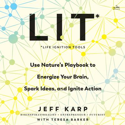 LIT: Life Ignition Tools by Jeff Karp audiobook