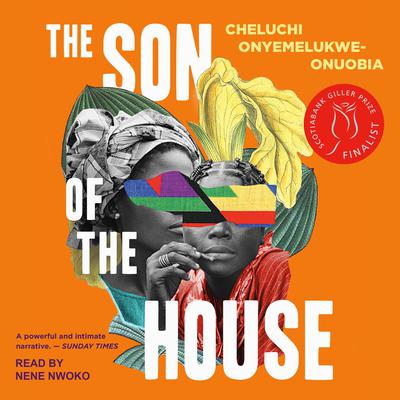The Son of the House by Cheluchi Onyemelukwe-Onuobia audiobook