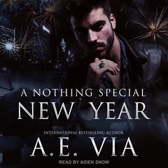 A Nothing Special New Year by A. E. Via audiobook