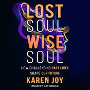 Lost Soul, Wise Soul by  Karen Joy audiobook