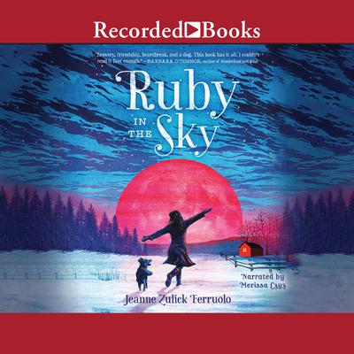 Ruby in the Sky by Jeanne Zulick Ferruolo audiobook