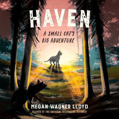 Haven by Megan Wagner Lloyd audiobook