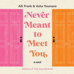 Never Meant to Meet You by Alli Frank audiobook