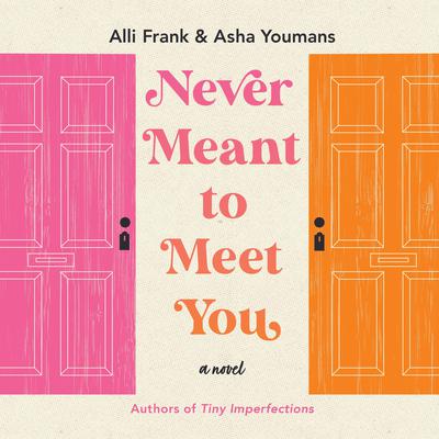 Never Meant to Meet You by Alli Frank audiobook