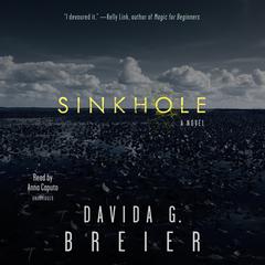 Sinkhole by Davida G. Breier audiobook