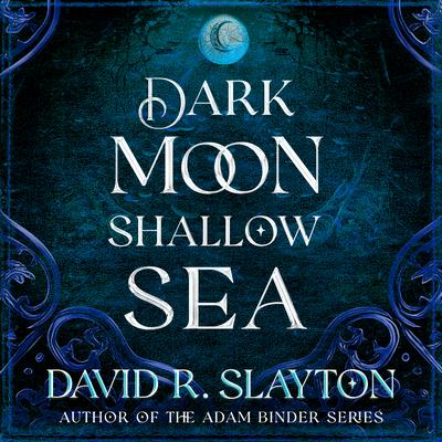 Dark Moon, Shallow Sea by David R. Slayton audiobook