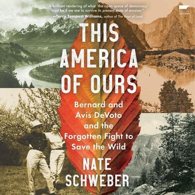 This America Of Ours by Nate Schweber audiobook