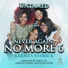 Never Again, No More 6 by Untamed audiobook