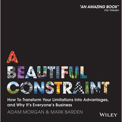 A Beautiful Constraint by Mark Barden audiobook