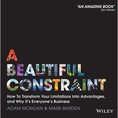 A Beautiful Constraint by Mark Barden audiobook