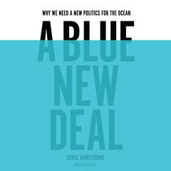 A Blue New Deal by Chris Armstrong audiobook