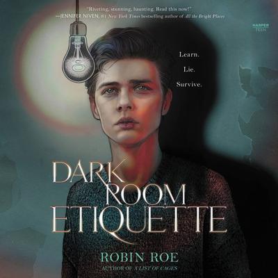 Dark Room Etiquette by Robin Roe audiobook