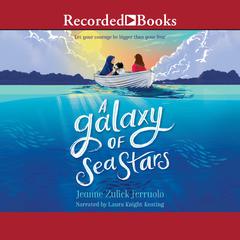 A Galaxy of Sea Stars by Jeanne Zulick Ferruolo audiobook