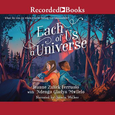 Each of Us a Universe by Jeanne Zulick Ferruolo audiobook