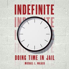 Indefinite by Michael L. Walker audiobook