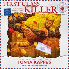 First Class Killer by Tonya Kappes audiobook