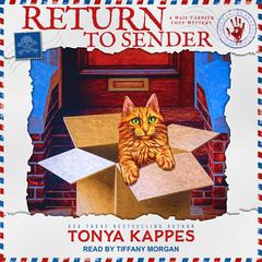 Return to Sender by Tonya Kappes audiobook