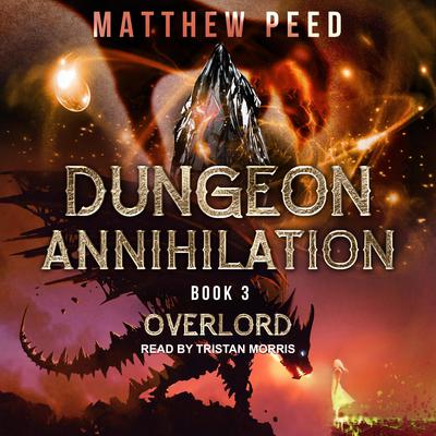 Overlord by Matthew Peed audiobook