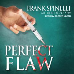 Perfect Flaw by Frank Spinelli audiobook