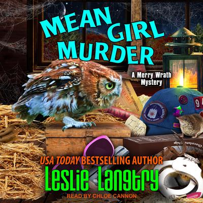 Mean Girl Murder by Leslie Langtry audiobook