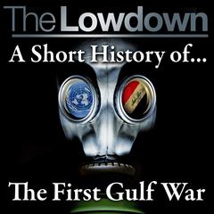 The Lowdown: A Short History of the First Gulf War by Rob Johnson audiobook