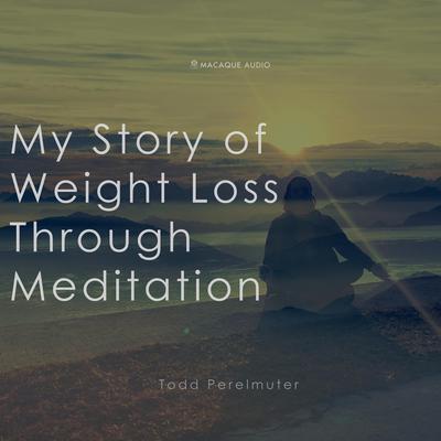 My Story of Weightloss through Meditation by Todd Perelmuter audiobook