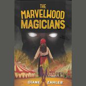 The Marvelwood Magicians by  Diane Zahler audiobook
