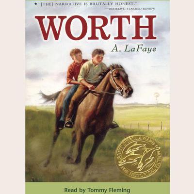 Worth by A. LaFaye audiobook