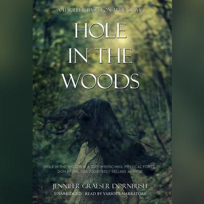 Hole in the Woods by Jennifer Graeser Dornbush audiobook