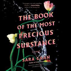 The Book of the Most Precious Substance by Sara Gran audiobook