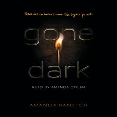 Gone Dark by Amanda Panitch audiobook